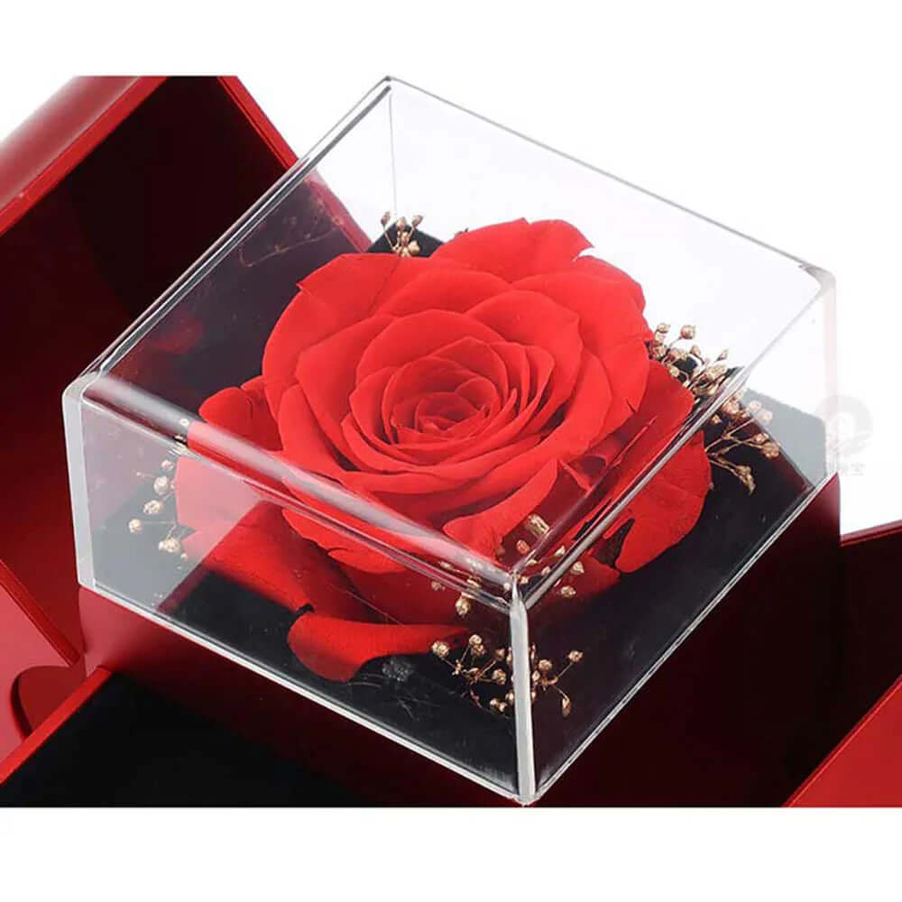 Jewelry Box Red Apple Christmas Gift Necklace Eternal Rose For Girl English
