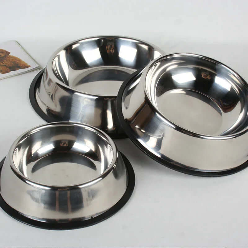 dogs and cat bowls toys harness pet carriers