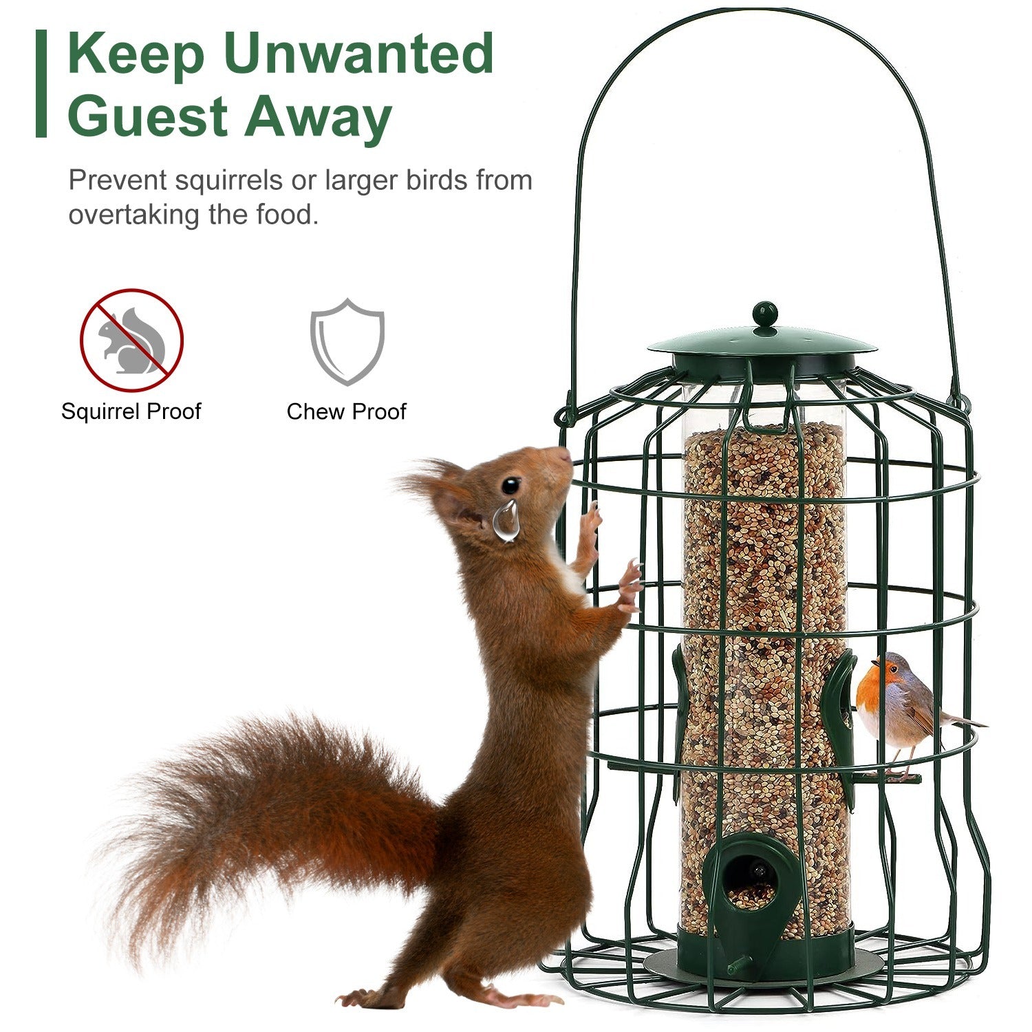 Outdoor Wild Bird Feeder