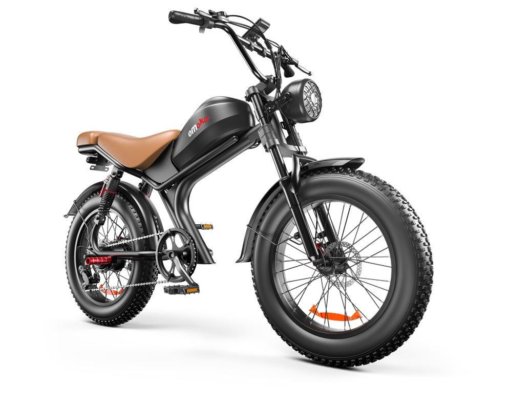 31 MPH Electric Bike