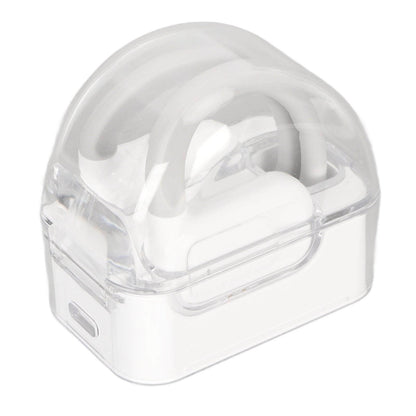 Bluetooth translation earbuds Translator 74 Languages 70 Accents
