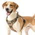 heavy duty harness for large dogs No Pull Tactical Dog Harness Khaki