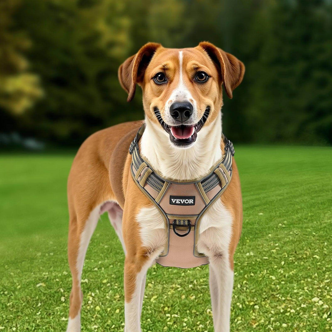 heavy duty harness for large dogs No Pull Tactical Dog Harness
