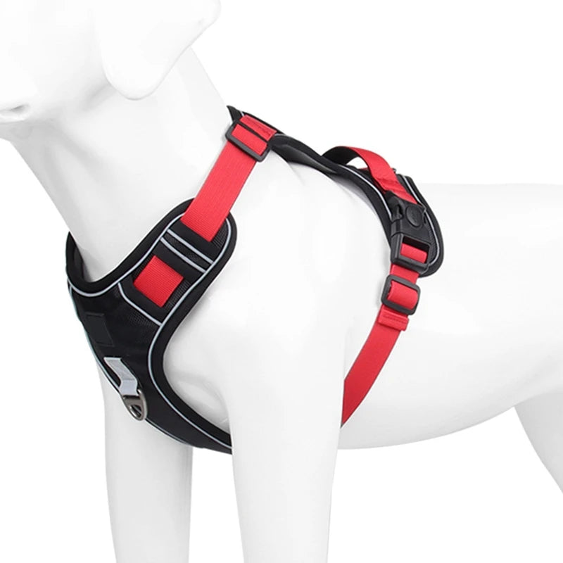 Dog Harness 