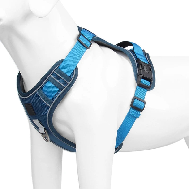 Dog Harness 