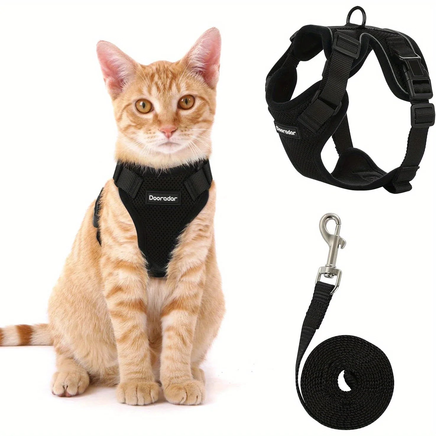 Cat Leash 