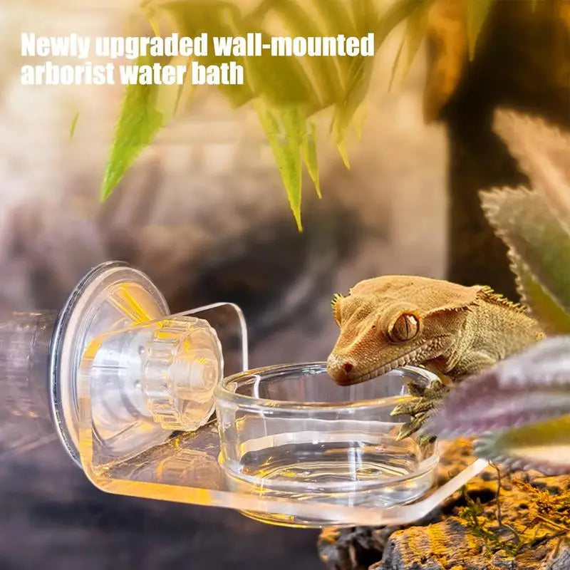 gecko feeding water bowl 