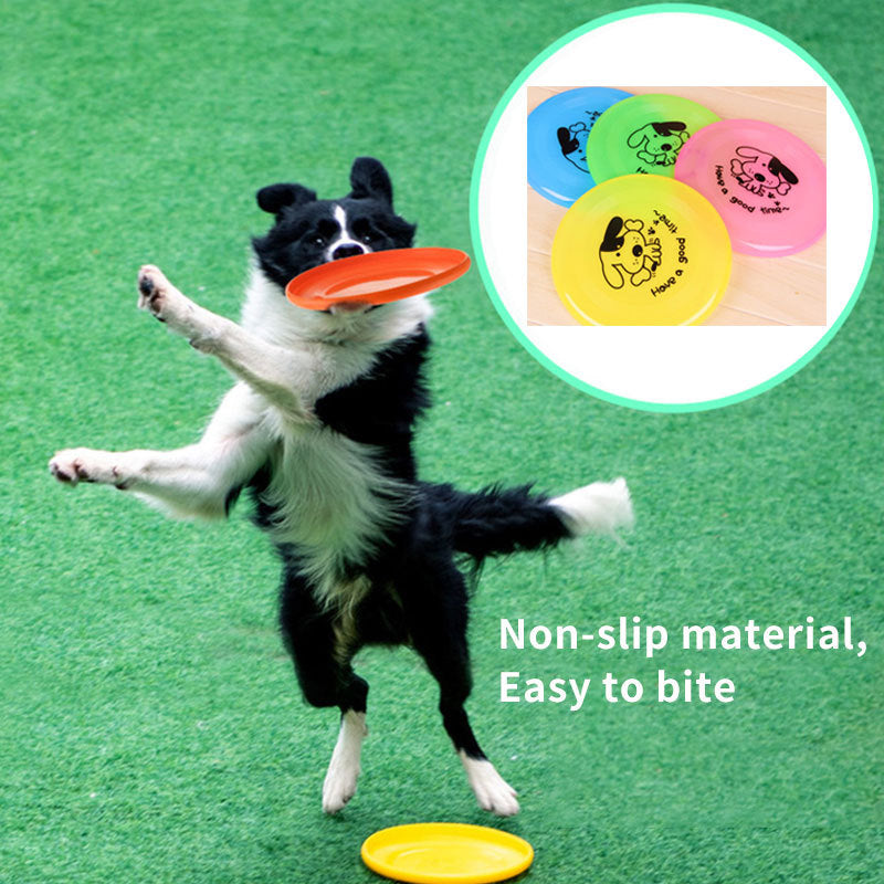Dog Cat Toy 