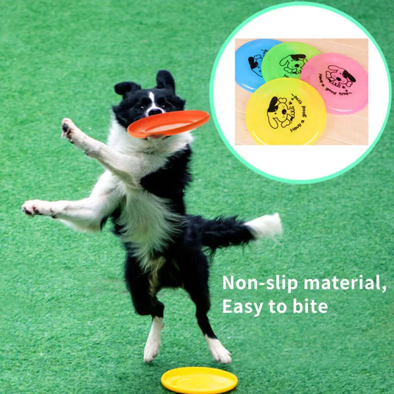 Dog Cat Toy Silicone Flying Saucer Funny Pets Dog Cat Toy Dog Game