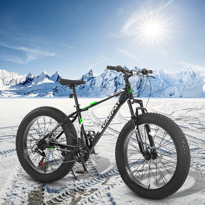 S26109 Elecony 26 Inch Fat Tire Bike Adult&amp;Youth