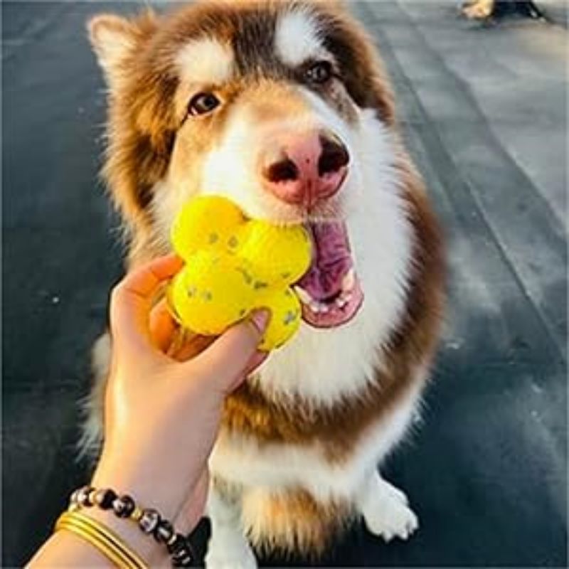  Dog Calming Ball 