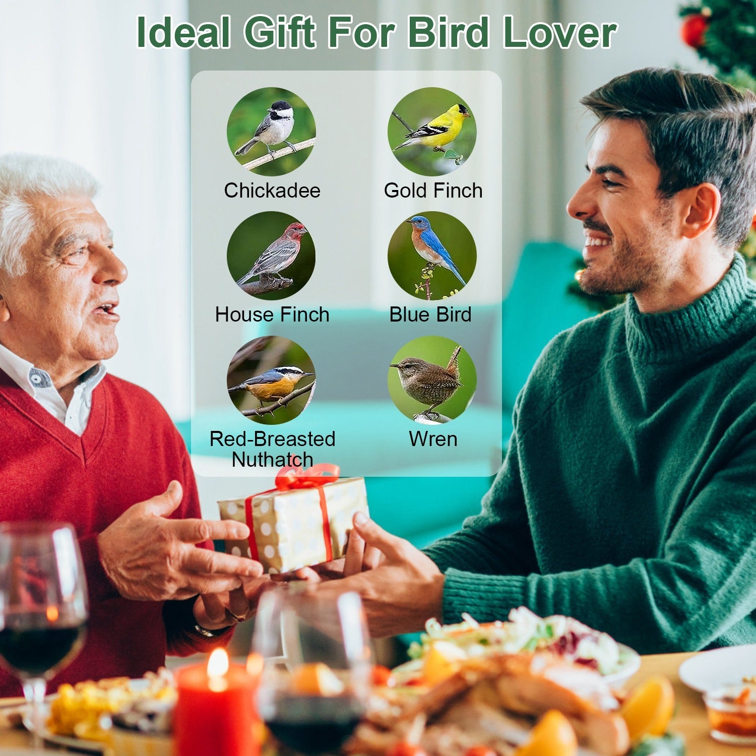 Outdoor Wild Bird Feeder